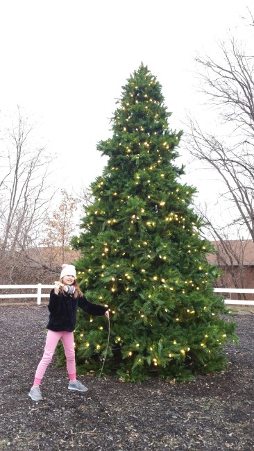 A picture of a desolate park with a Christmas tree and a child