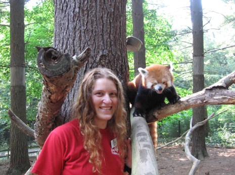 An intern and a red panda at the Oglebay Park Good Zoo.