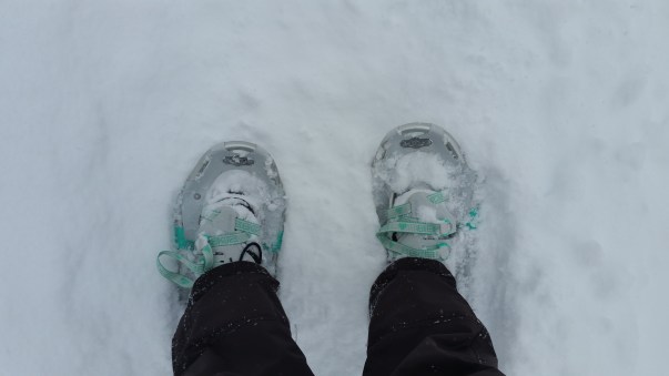 Snowshoes being worn in a snowfall