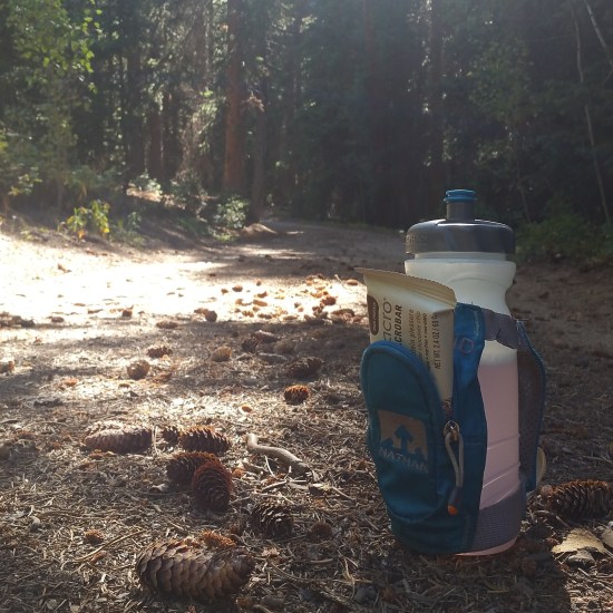 A water bottle on a dirt road covered with pinecones.