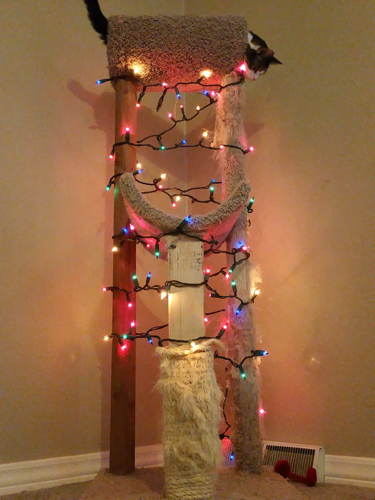 A cat tree wrapped in Christmas lights